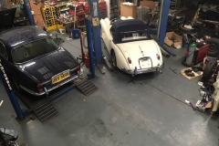 Specialising in all types Jaguar